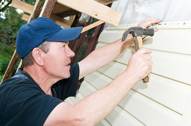 Best Brick Veneer Siding  in Reedsville, WI