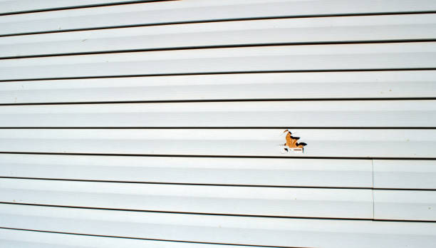 Best Composite Siding  in Reedsville, WI